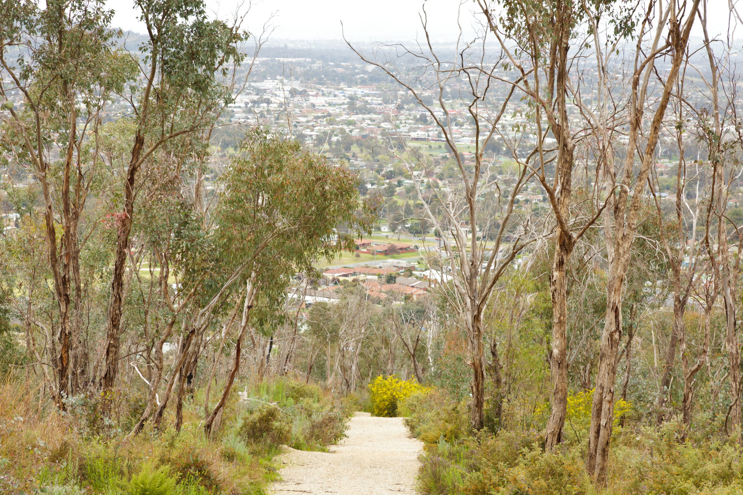 Conservation Zoned Lands Review Have Your Say